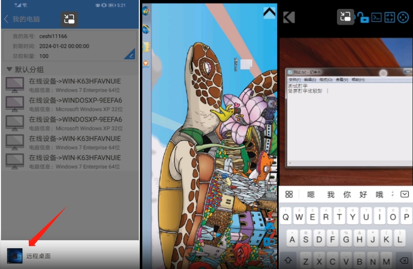 灰鴿子、向日葵、To desk、Team Viewer、Anydesk