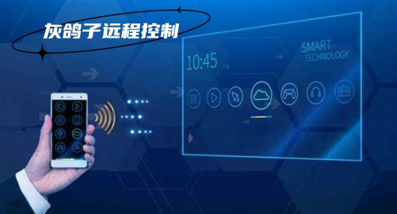灰鴿子、向日葵、To desk、Team Viewer、Anydesk