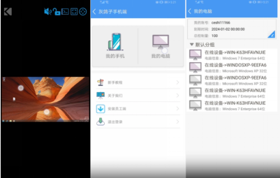 灰鴿子、向日葵、To desk、Team Viewer、Anydesk