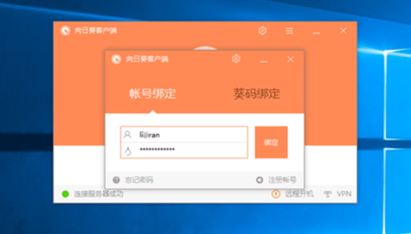 灰鴿子、向日葵、To desk、Team Viewer、Anydesk